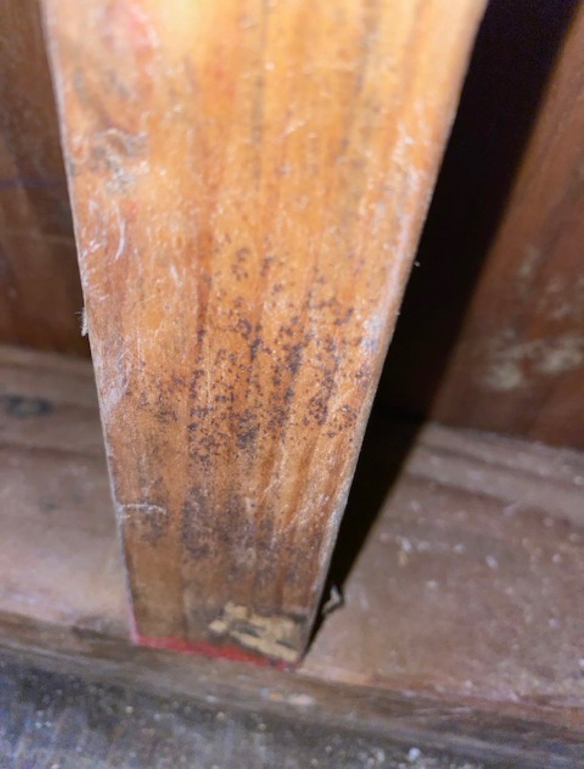 Close-up of wooden furniture leg showing dust, dirt, and wear marks on aged wood surface