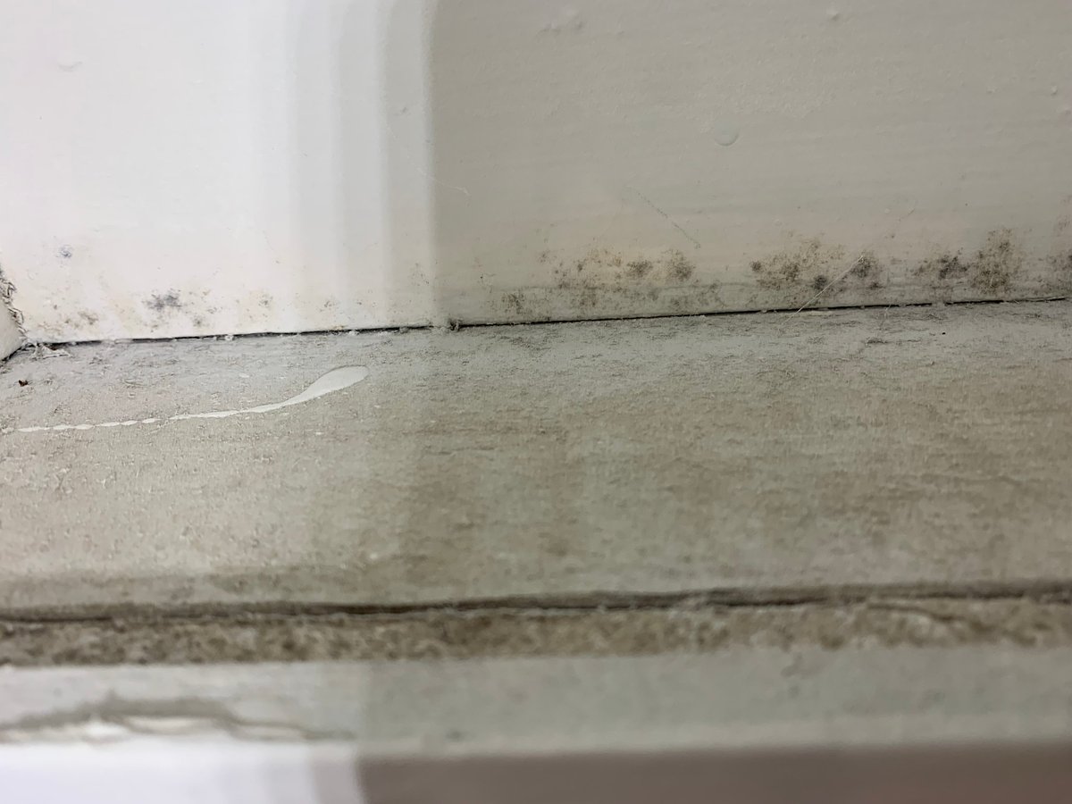 Close-up of concrete floor surface meeting a white wall with visible dust and mold stains along the corner
